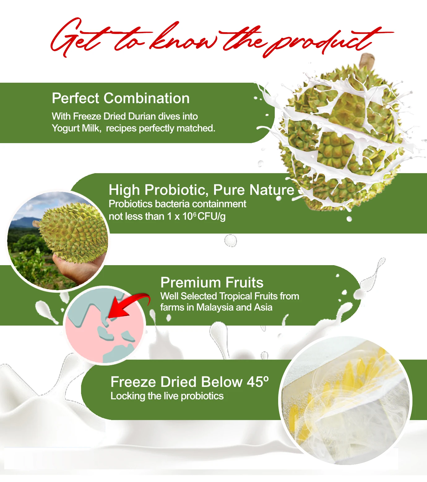 Premium Freeze Dried Yogurt Durian with high probiotics