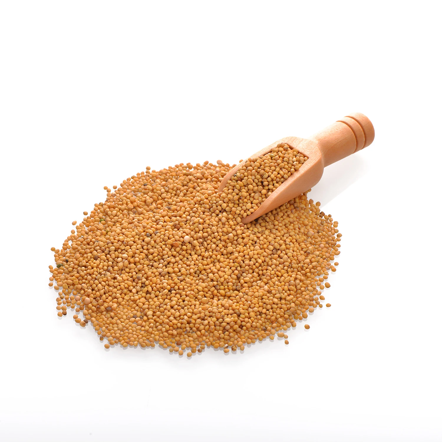 Organic pure mustard seeds pre-packed big bags, from manufacturer