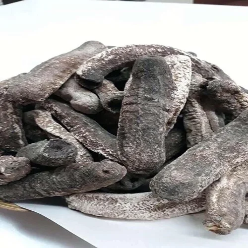 Сушеные или замороженные морские огурцы по низкой