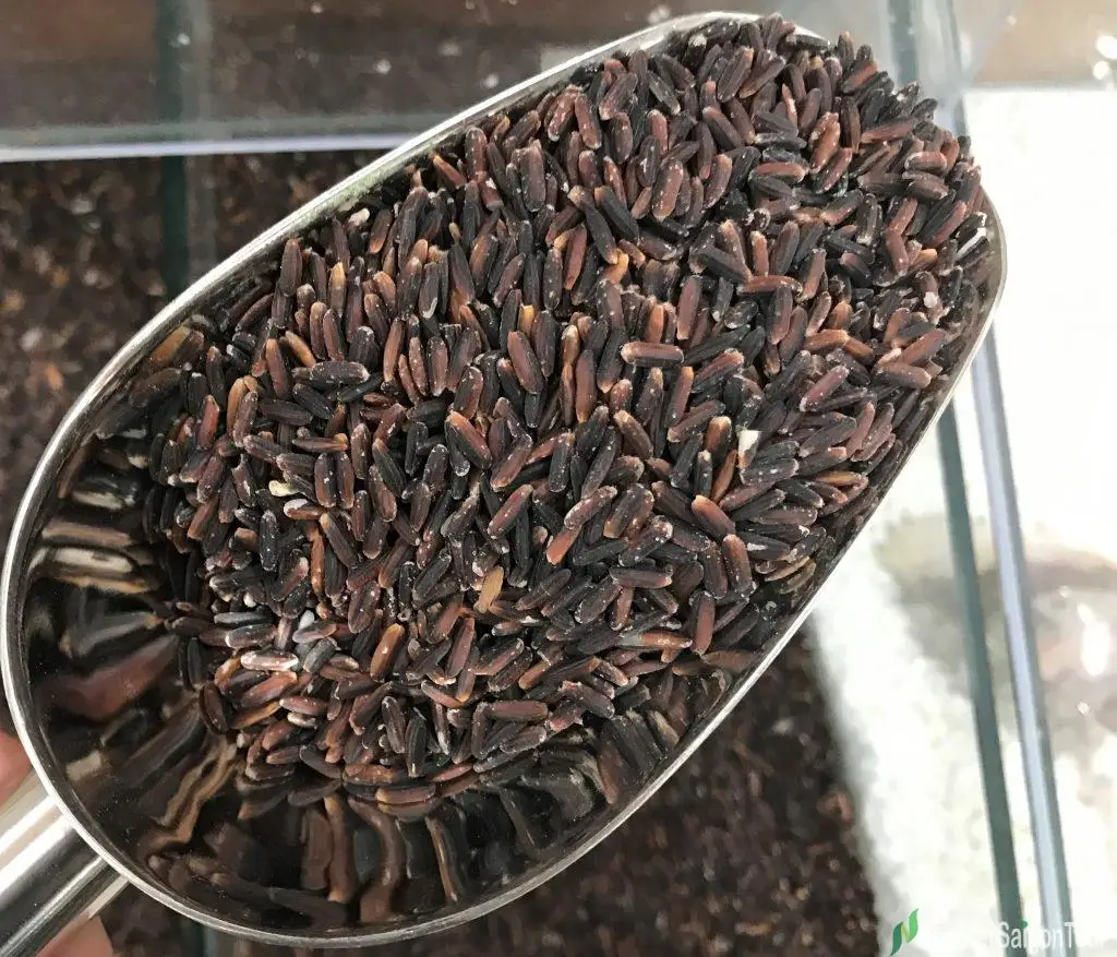  Черный клейкий рис с Азиатским вкусом (GAO NEP THAN) (Ms Деми + 84 961 733 400)