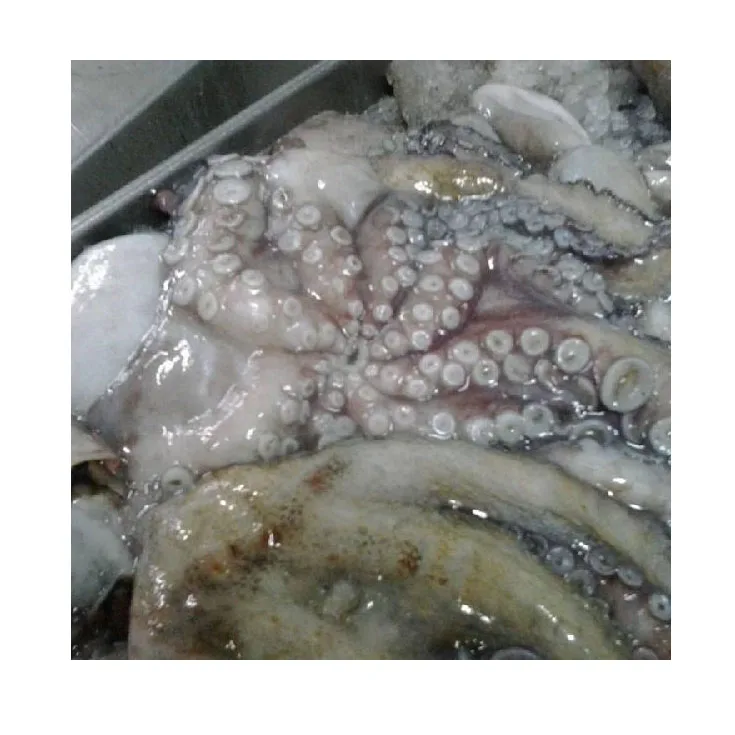 2022 Frozen Octopus / Frozen Seafood Octopus