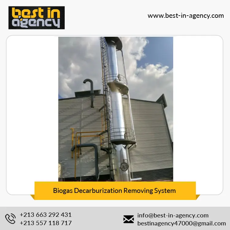 Natural Gas Water Removal Biogas Purify Decarburization/CO2 Removing System Manufacturer