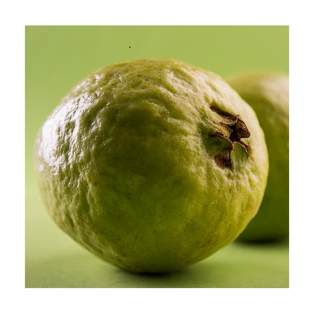 Rich And Tasty In High Demand Fresh Fruit Guava With Low Price