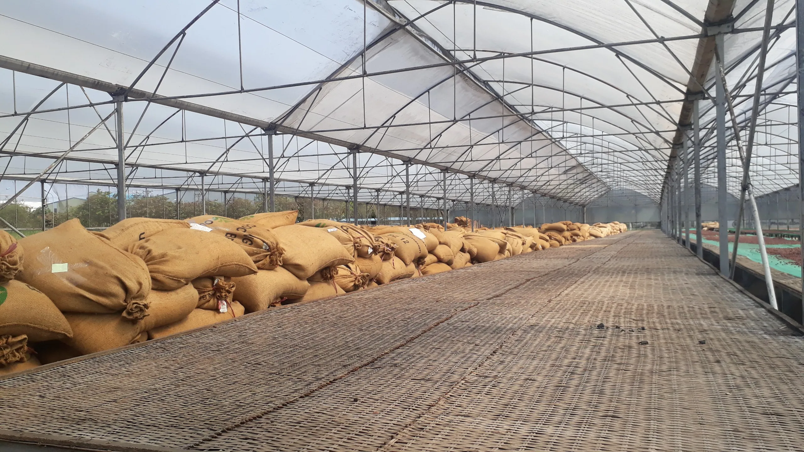 Wholesale Cocoa Husk, Cocoa Bean Pods, Cocoa Beans Shell For Cocoa Powder Making