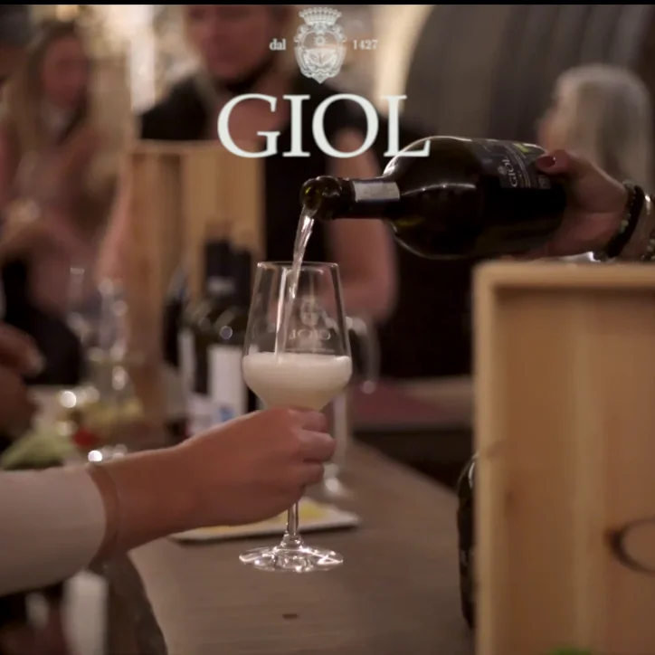 Italian No Added Sulphites Organic Pinot Gris Dry White wine 75 Cl for Aperitif and Dine