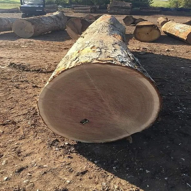 Red Oak Wood Round Logs Peeled Logs and poles