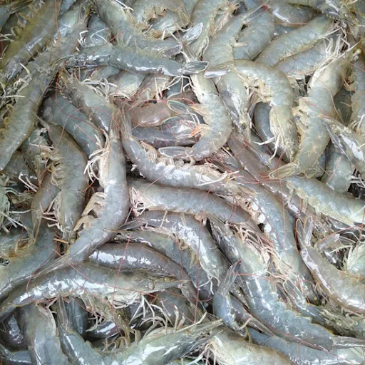 Дешевые креветки vannamei из Вьетнама