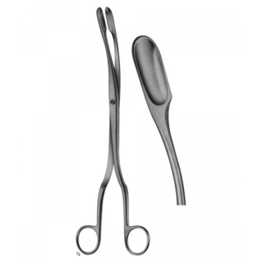 Wholesale Professional Stainless Steel Ovum Forceps Straight And Curved Winter Forceps Hot Selling Gynecology Instruments