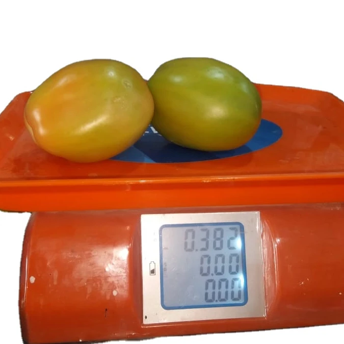 
Tomato Hybrid Rocky F1 Seeds 