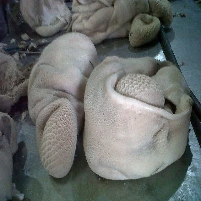 Beef Tripe / Frozen Beef Tripe