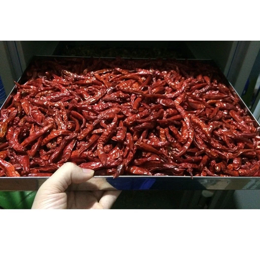 24 Months Shell Life Raw Processing Type Red Color Round Shape Good Quality Dried Red Chilli Origin Vietnam Best