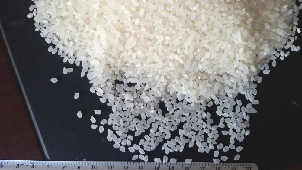 Made in Viet Nam High Quality Japanese sushi rice Japonica Rice Round Short Seed White Rice 5% Broken with Best Price