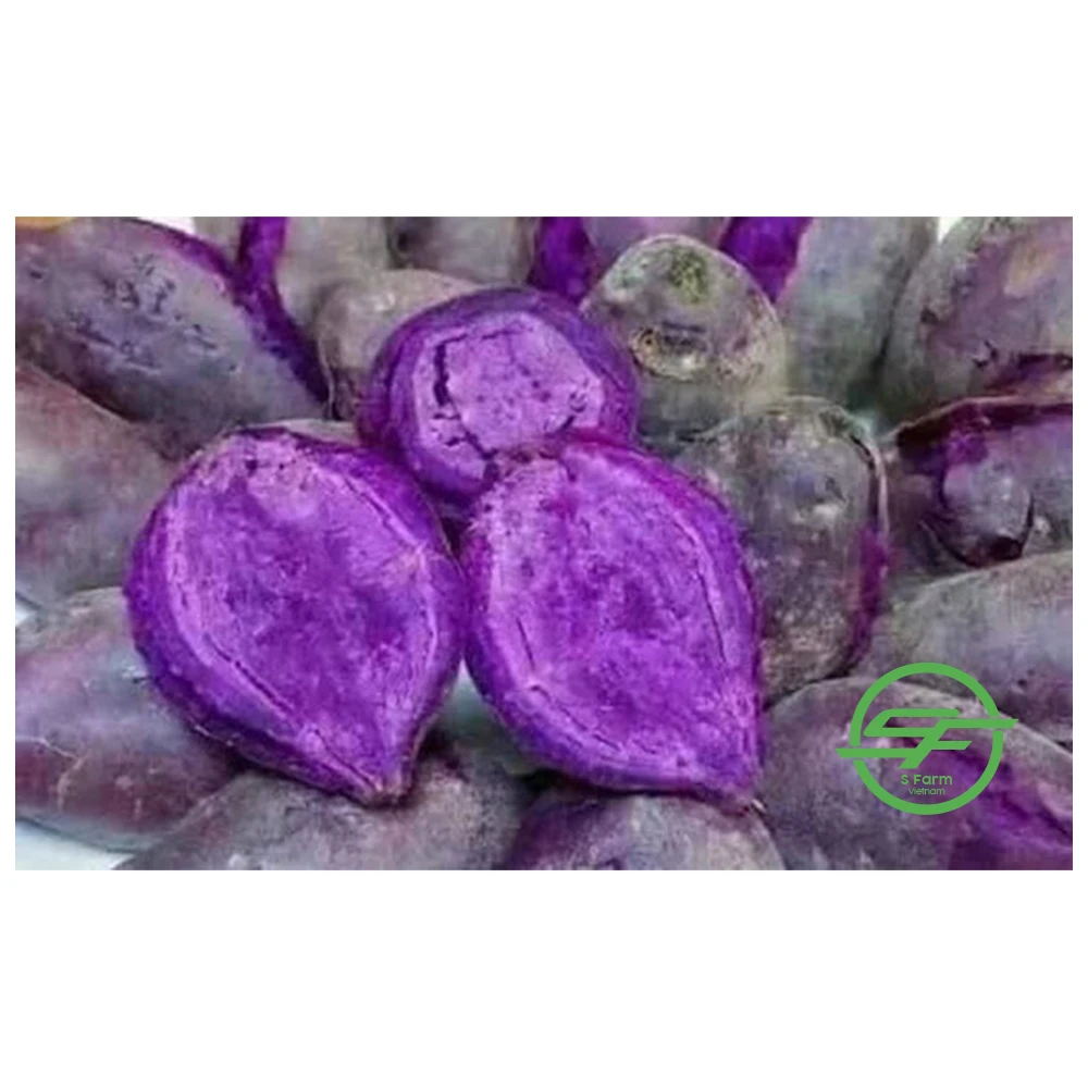 Самая продаваемая мука для сладкого картофеля по конкурентоспособной цене на рынок Южной Кореи США