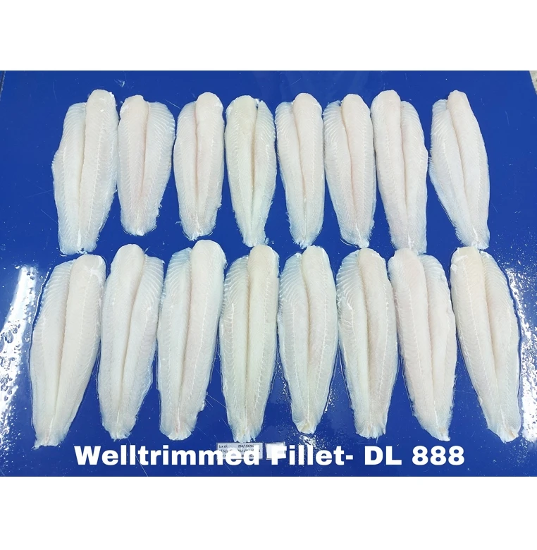 FROZEN 100% HIGH QUALITY WHITE WELL TRIMMED PANGASIUS FILLET IQF Frozen fish seafood pangasius fillet