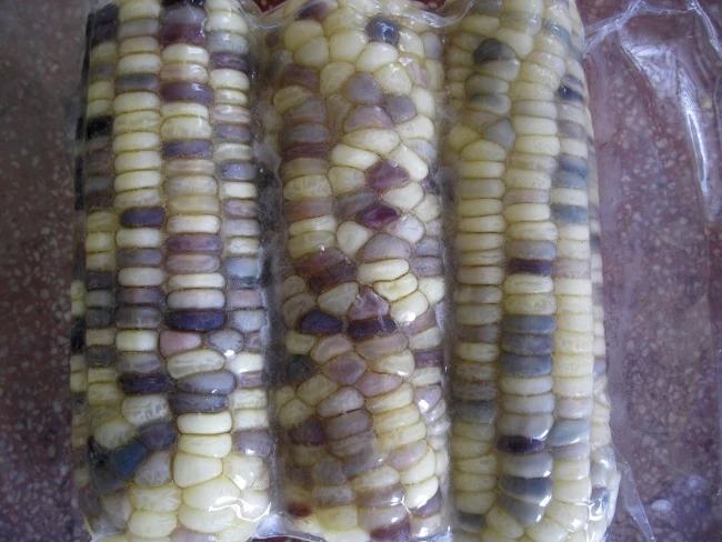 Вьетнамский поставщик вареная кукуруза в початках замороженная сладкая