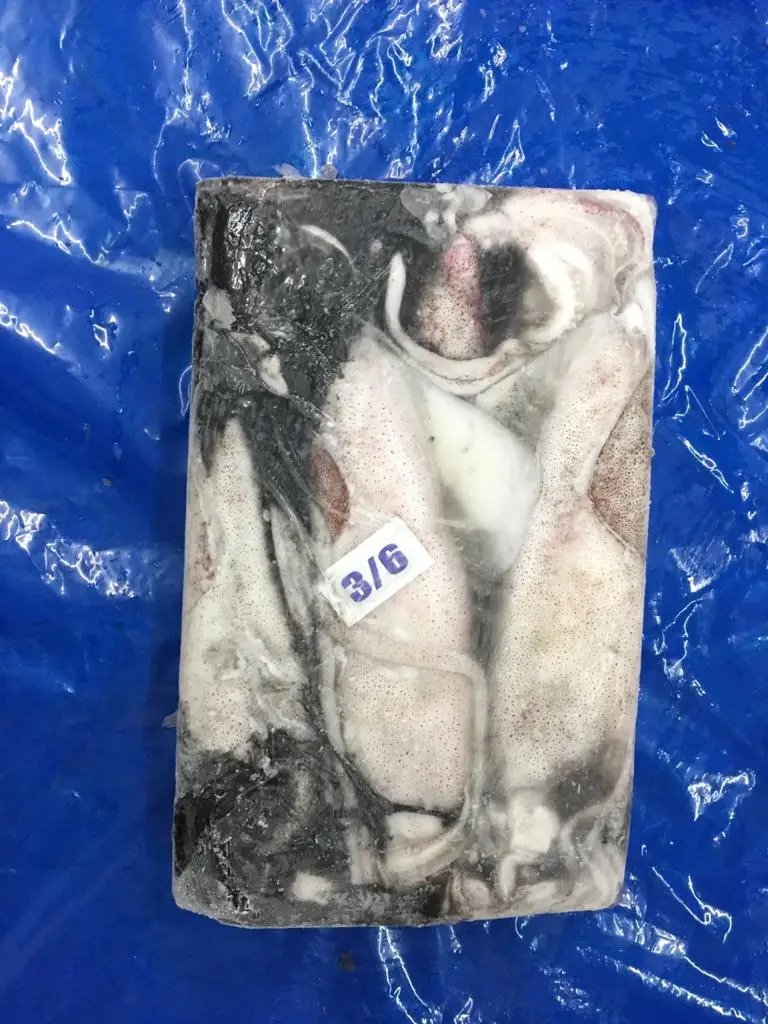 Замороженный лолиго кальмар из Индии замороженный блок