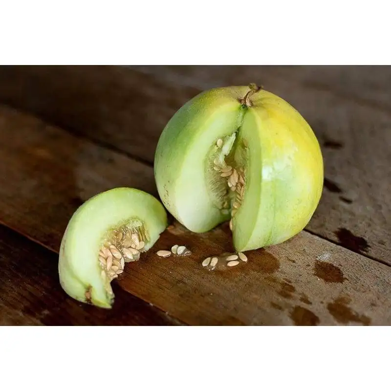 Сладкая Дыня A1, новый урожай