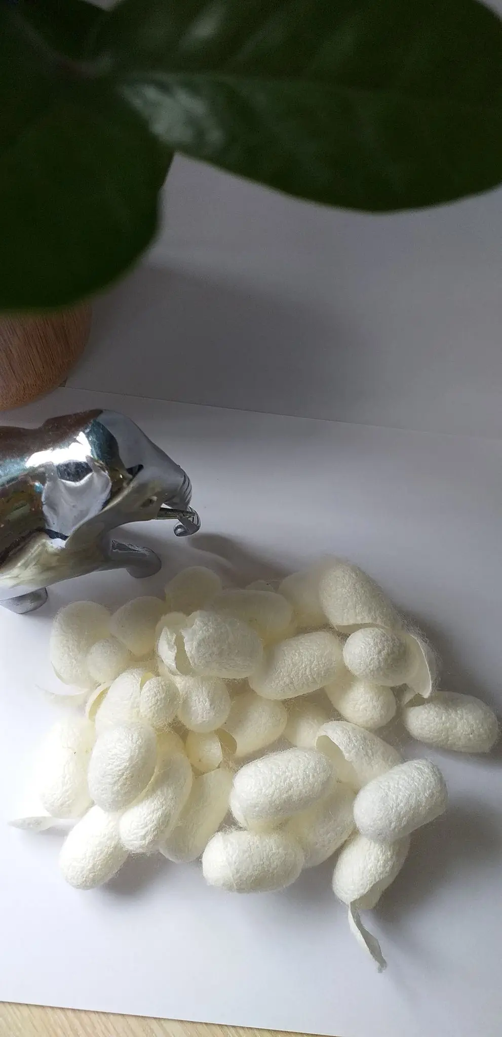 100% натуральный экологически чистый Шелковый коконы для красоты кокон чистки лица из шелкопряда (Whatsapp + 84 382766873)