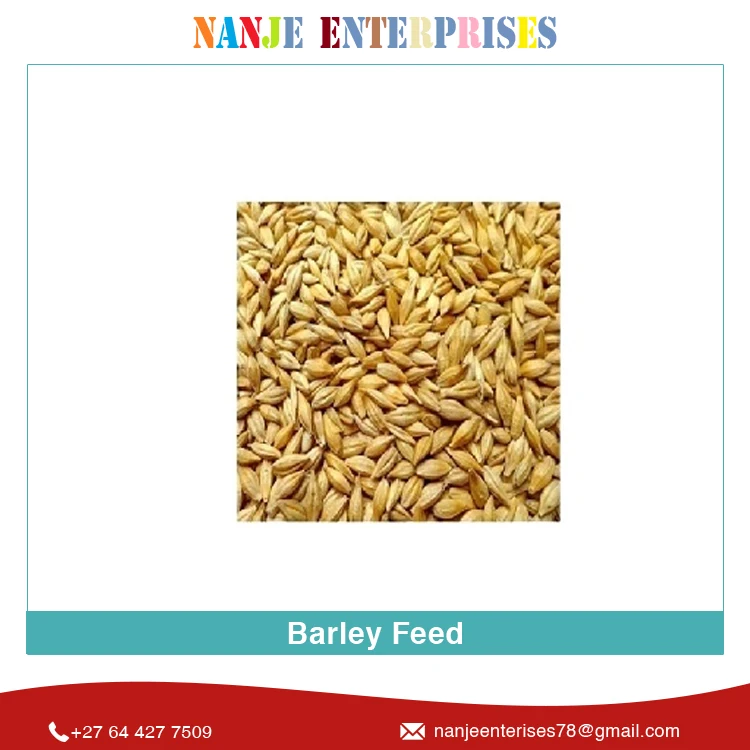 Горячая Распродажа высококачественный стандартный тип культивирования Сертифицированный качественный корм для ячменного солода