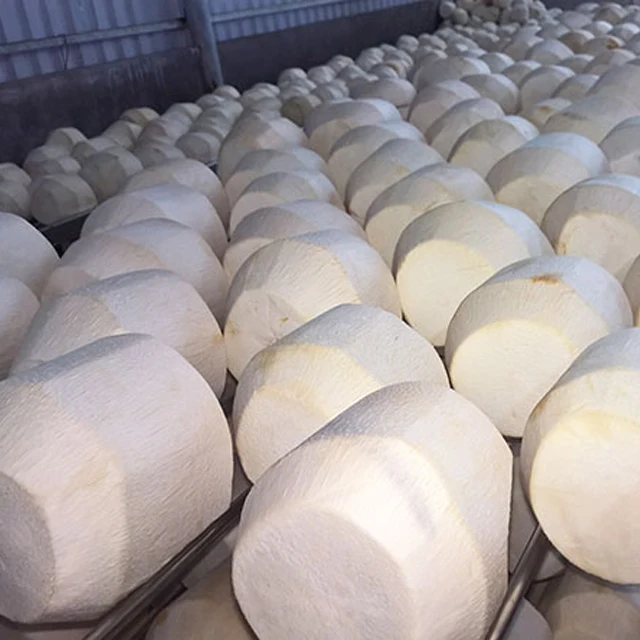 Fresh Super Delicious Taste Premium Quality Coconut - Whole Fruit Export