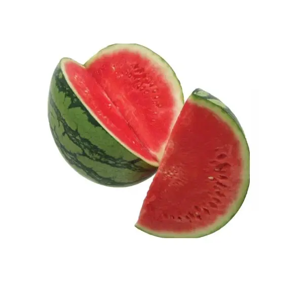 Органическая свежая дыня Высококачественная для пресной воды