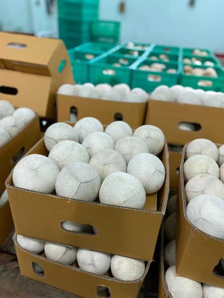 Кокосовые ароматы в форме тайского алмаза свежие кокосы высококачественный молодой