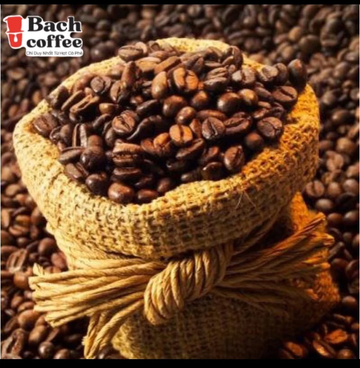 100% Высококачественный Изысканный кофе Арабика из Cau Dat Lam Dong vietnam крупнейший выращиватель кофе-жирная насыщенная смесь