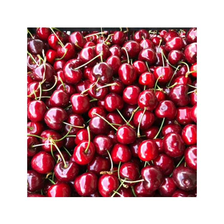Red Sweet Cherry Fresh Cherry Fruit