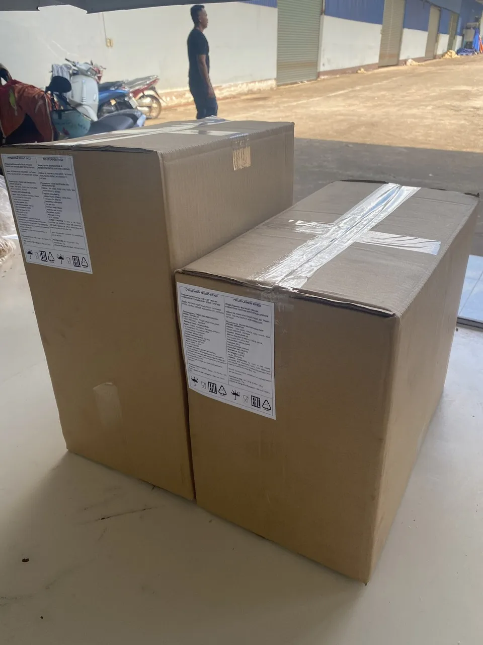 Vietnam Cashew nut ww240/ ww320/ ws/ lp good quality raw cashew nuts cashew nut packaging bag