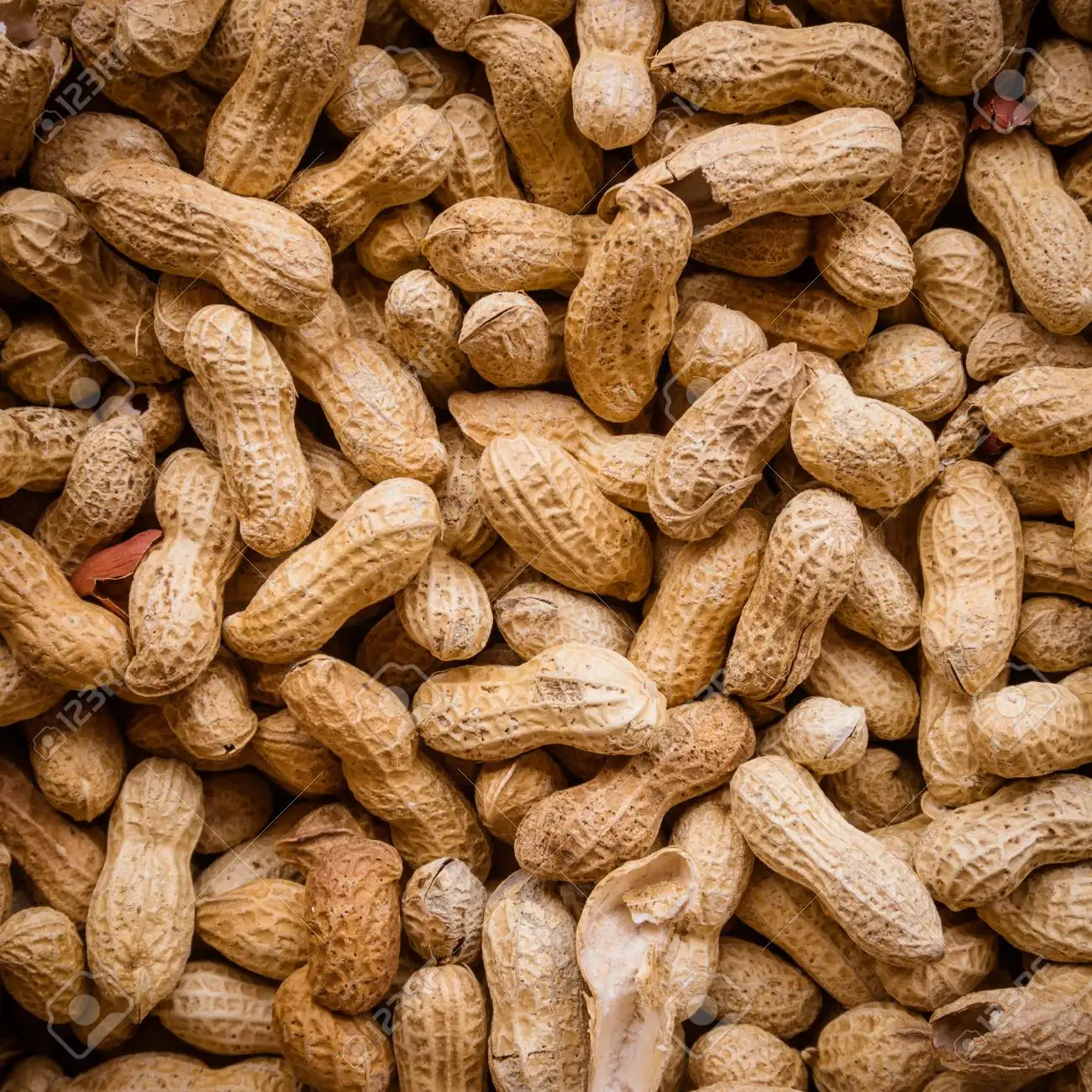 Горячая Распродажа жареный