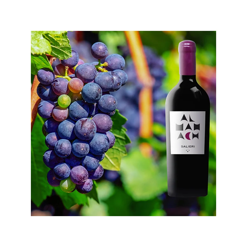 Made in Italy Top Quality Salieri Almanach 0,75L Ready to Ship