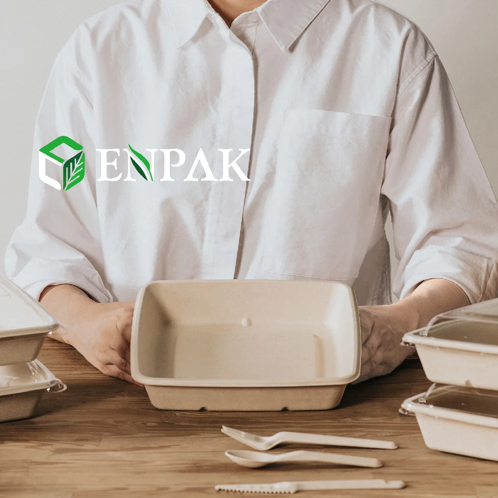 High Quality Takeaway Biodegradable Sugarcane bagasse food container