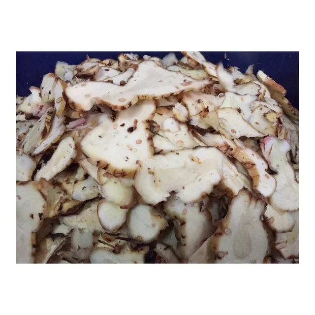 The best price of Dried Galangal slices in water as herb and health supplement good for your blood From Thailand