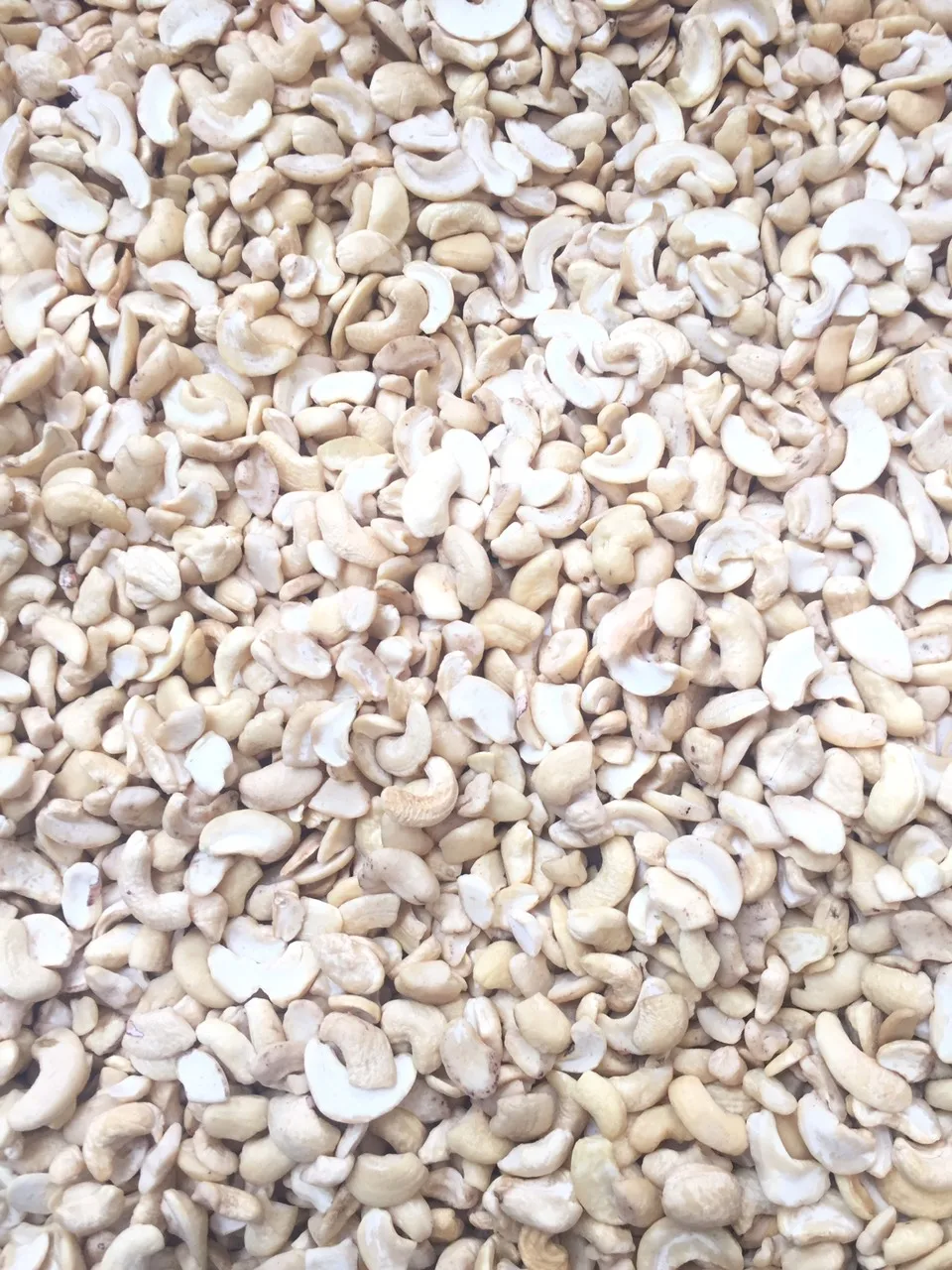 RAW CASHEW NUTS AFI STANDARD/ BROKEN CASHEW/WS LP SP BB- HUYNH GIA AGRICULTURE JOINT STOCK COMPANY