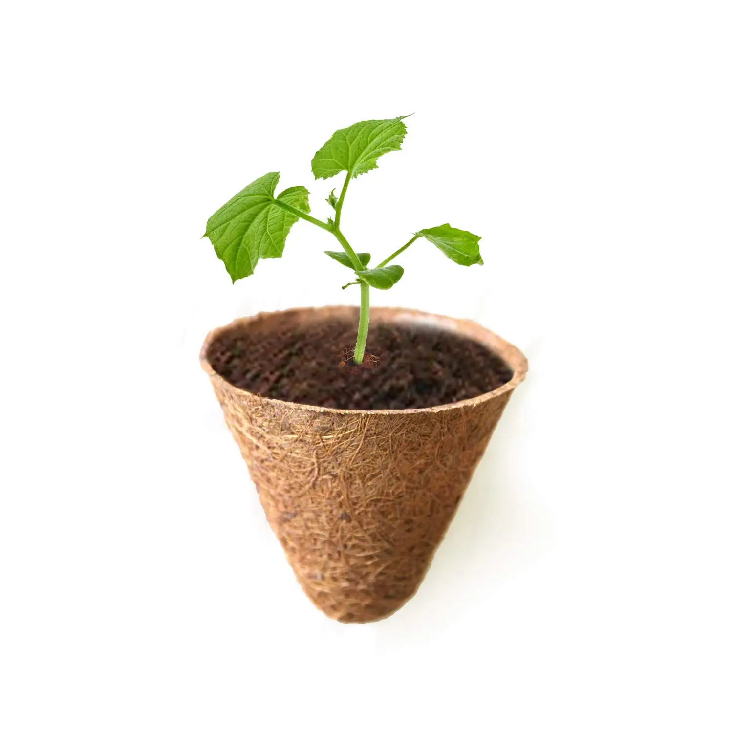 Высококачественный органический торфяной горшок для рассады посадки семян прорастание кокосового горшка садовые горшки