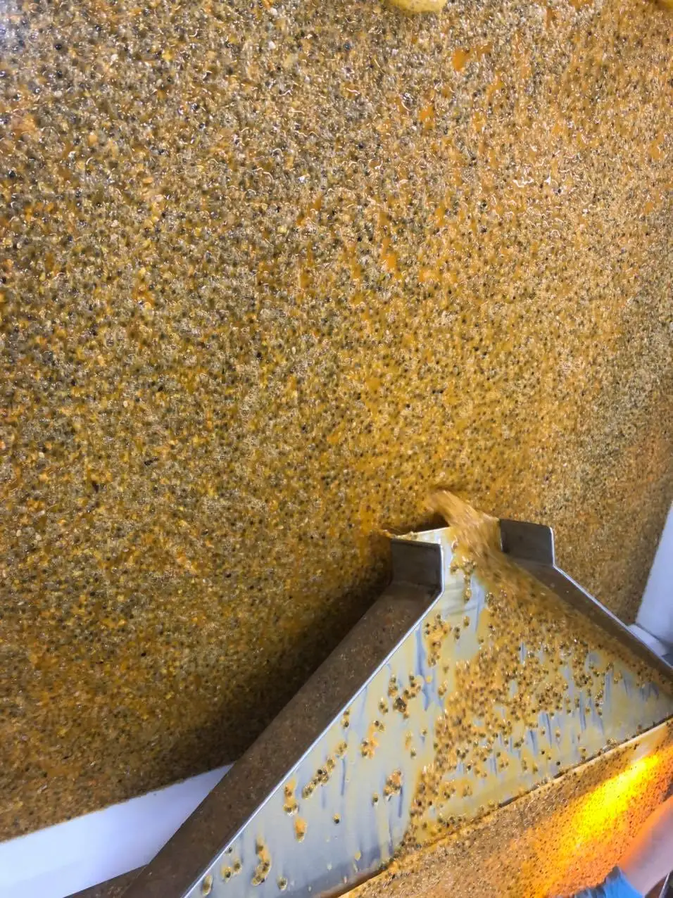  Замороженные страстные фрукты в пластиковой бутылке (WHATSAPP: + 84 948 256 975)