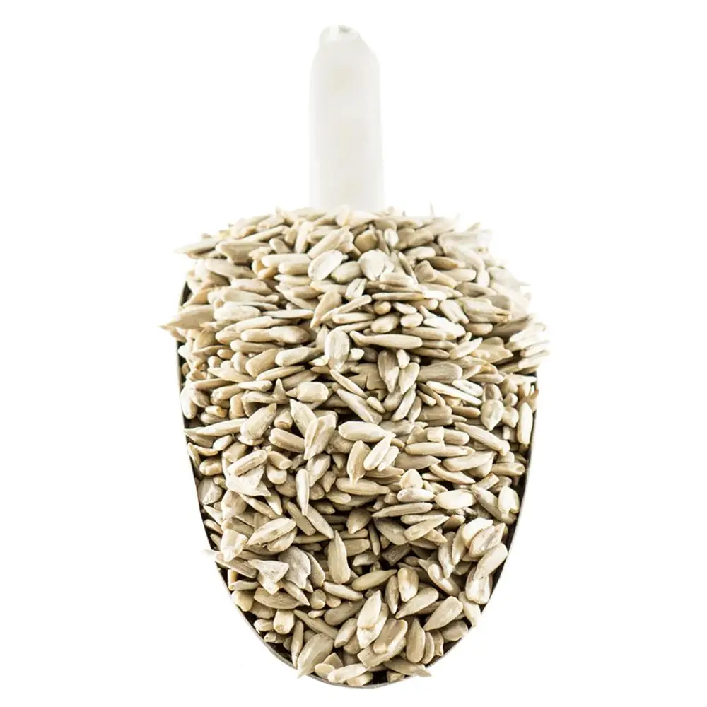 2020  Quality Sunflower seeds / Organic Sunflower Seeds