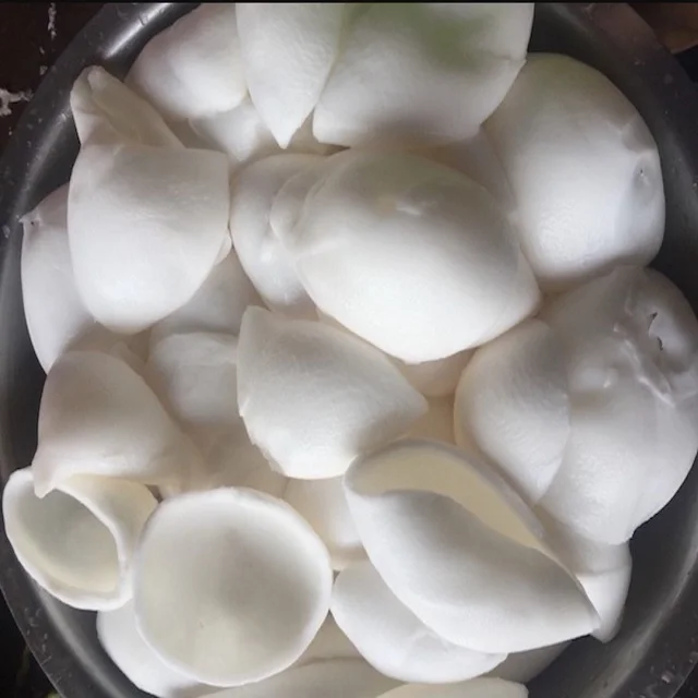 Best Quality Coconut Meat from Indonesia with Standard Export