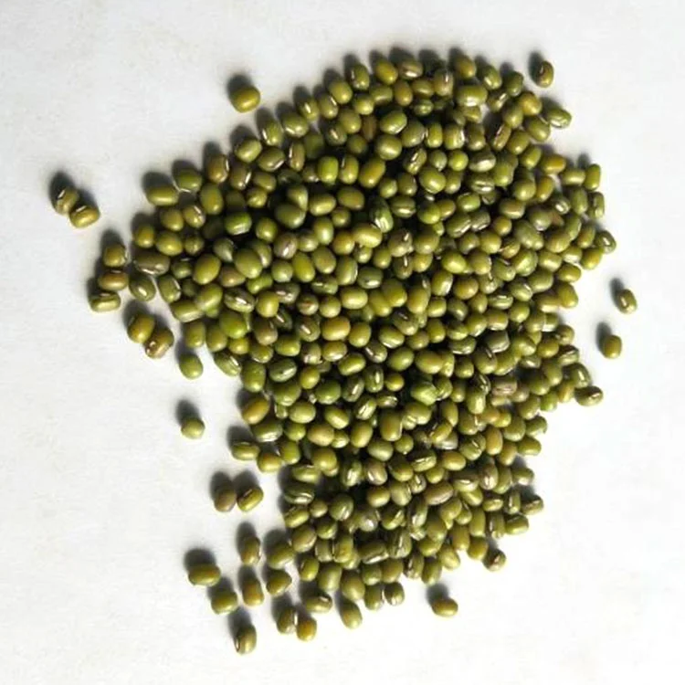 
Wholesale Premium Factory Sell High Quality Dried Green Mung Beans 