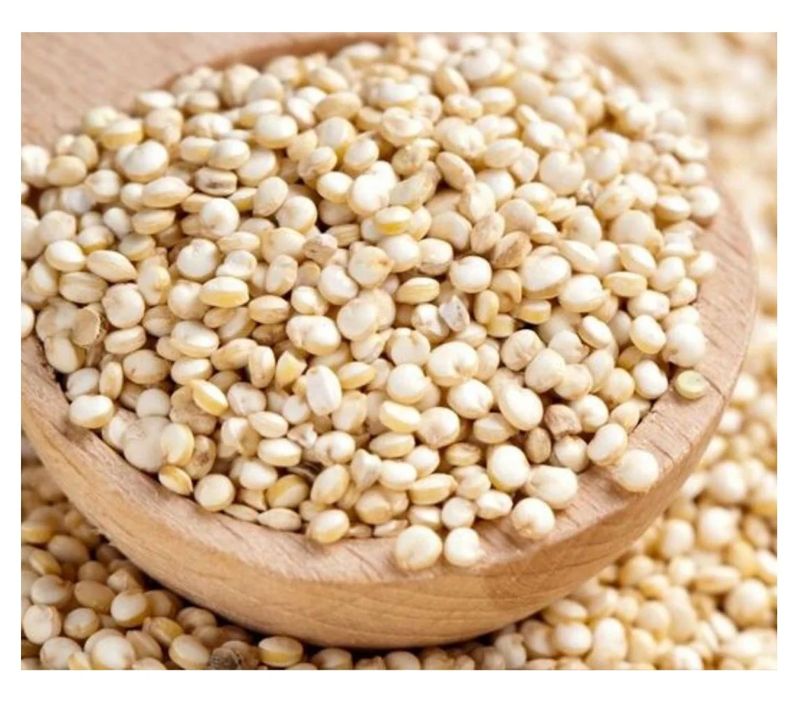 Good Quality Pure Quinoa Grains Cheap Rate Quinoa Grains
