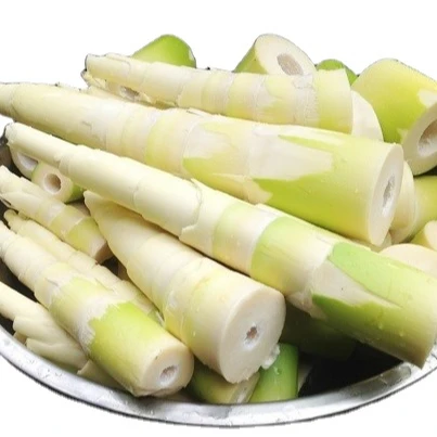 AYAME Natural Bamboo Shoots Fresh From Thailand