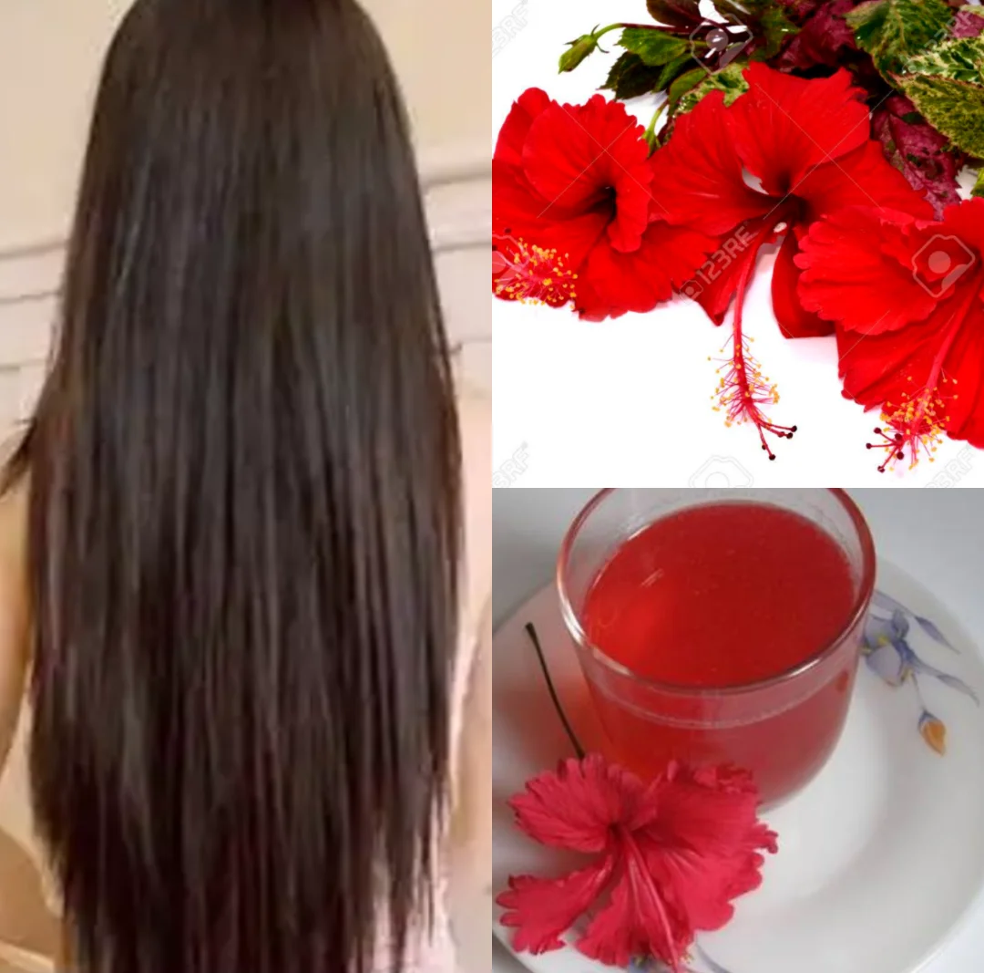 100% Wholesale Organic Nutrient Hibiscus Red Flower Hair Oil For Anti Hair Fall Softens Hair Growth and Strengthens
