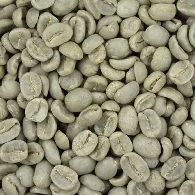 ROBUSTA COFFEE BEANS S16 STANDARD