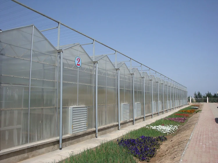 Skyplant Venlo Multi-span Greenhouse With Hydroponic Systems