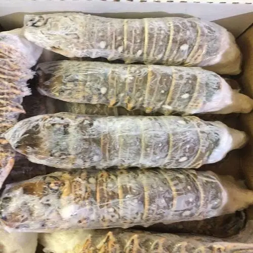 Frozen Lobster2.jpg