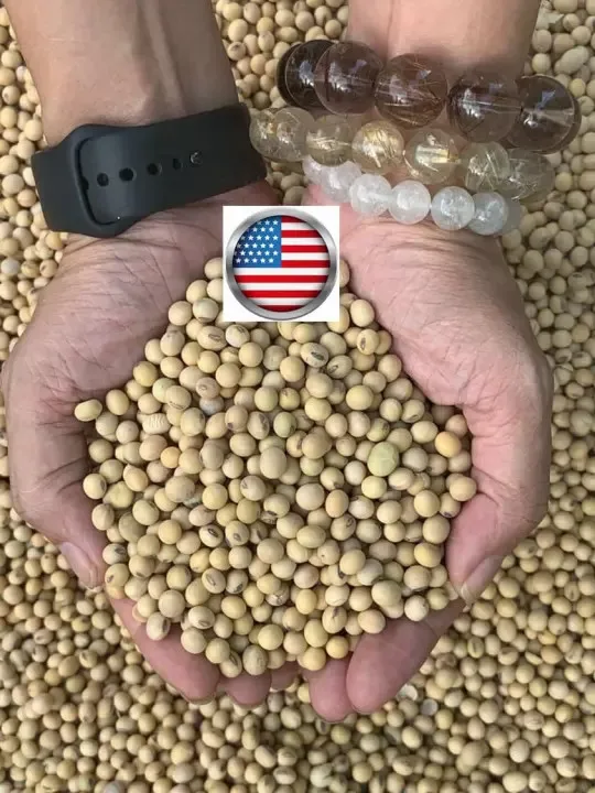 OrSaFarm USA Soya Beans Top Choice High Quality Soybeans Cheap Price Soya Beans Best Selling 5kg/pack
