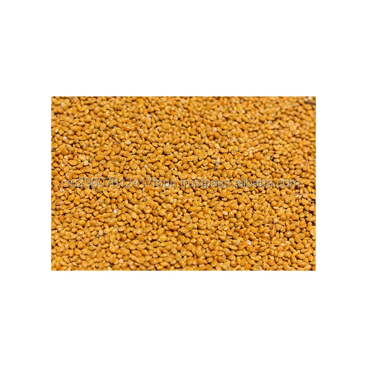 High-quality yellow millet allows you to get rid of edema treatment of cancer wholesale price, millet seed