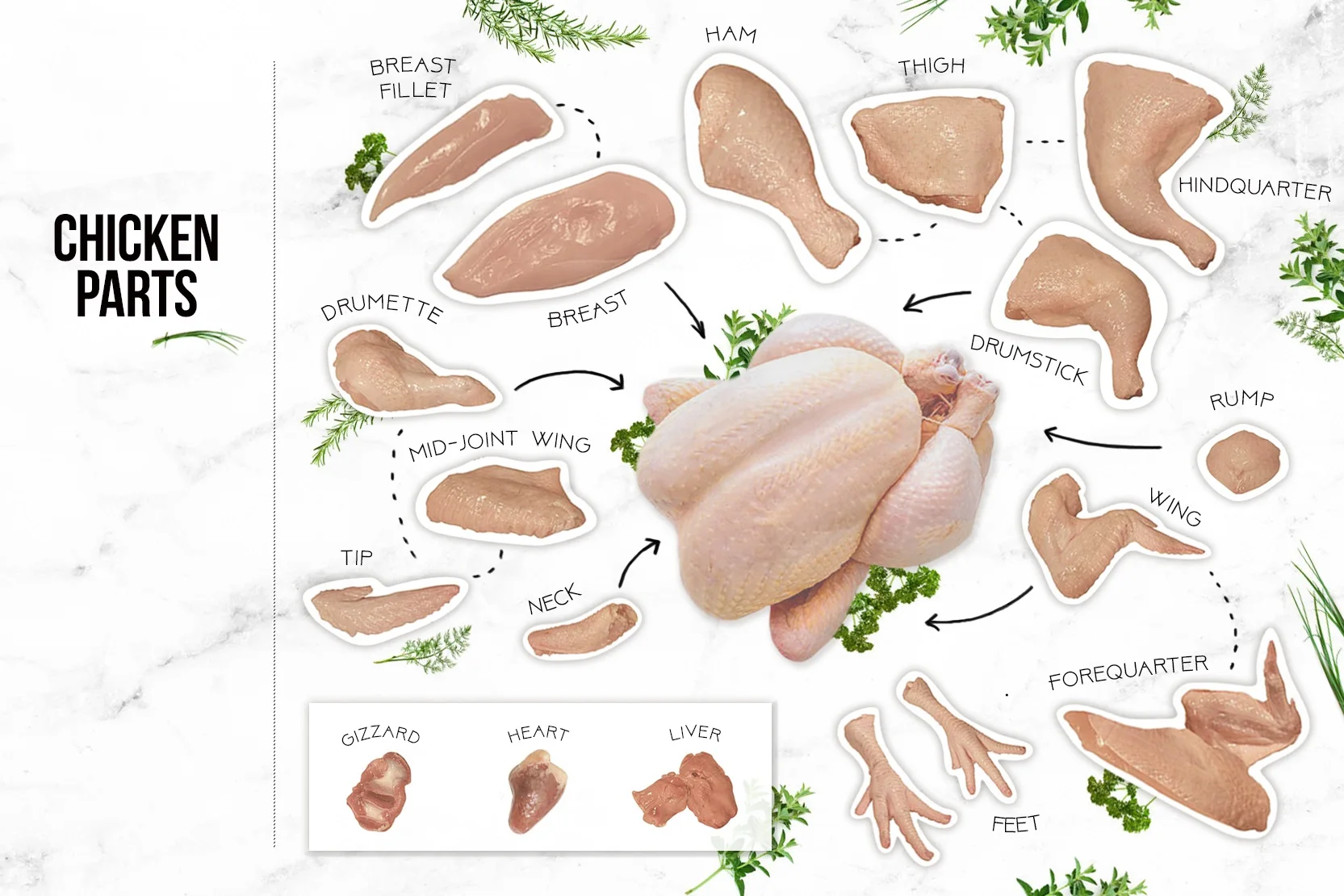 
Frozen Chicken Parts - Natural for human consumption for sale 