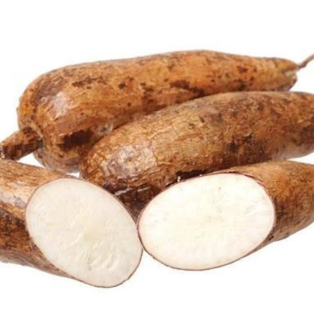 High quality TAPIOCA STARCH from Vietnam/Cassava starch/Kudzu starch with BEST PRICE 2023 (Wholesale)