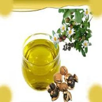 Best Quality Refined Cooking Camellia Cooking Oil